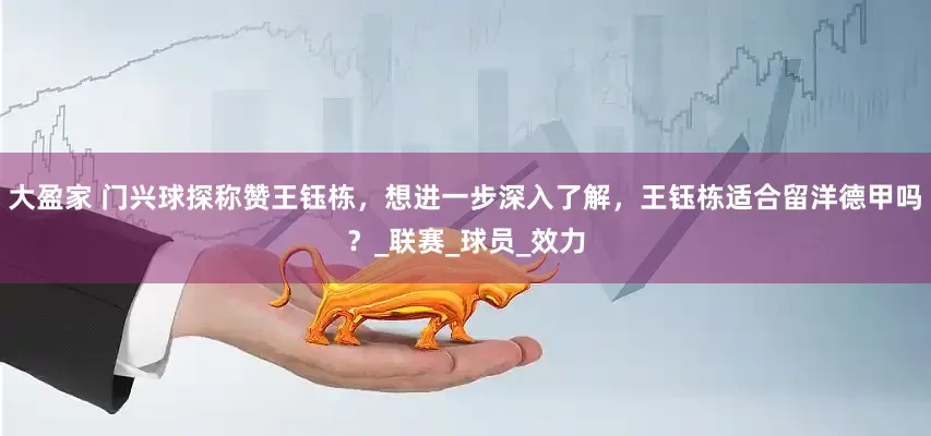大盈家 门兴球探称赞王钰栋，想进一步深入了解，王钰栋适合留洋德甲吗？_联赛_球员_效力
